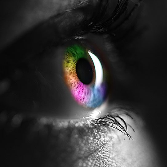 - Levin Eye Care Center